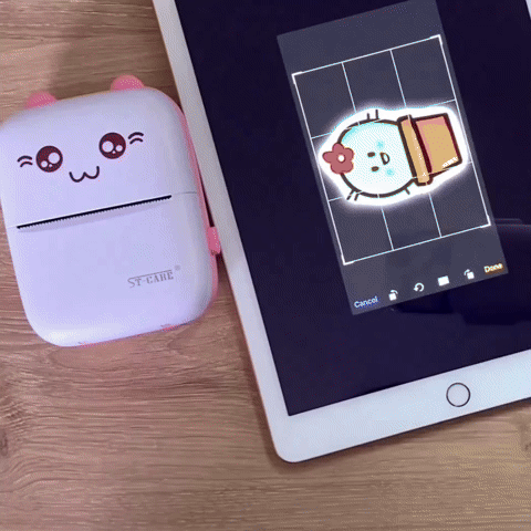 IMPRESORA PORTATIL DE GATITO + 10 ROLLOS